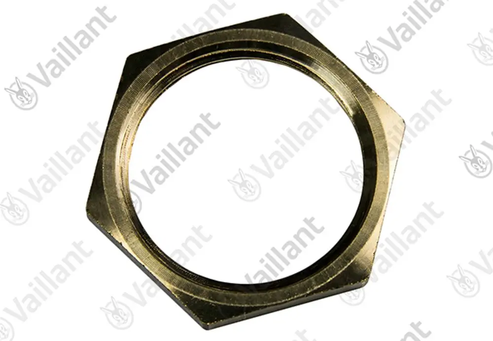 Vaillant Mutter, sechseckige Form mit Innengewinde, geeignet für die Montage an einer Fremdstromanode. Zeigt metallischen Glanz und klare Konturen.